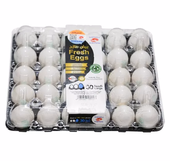 Al Ain Eggs Fresh Large 30s UAE